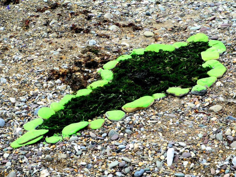 Palingenesis (green)