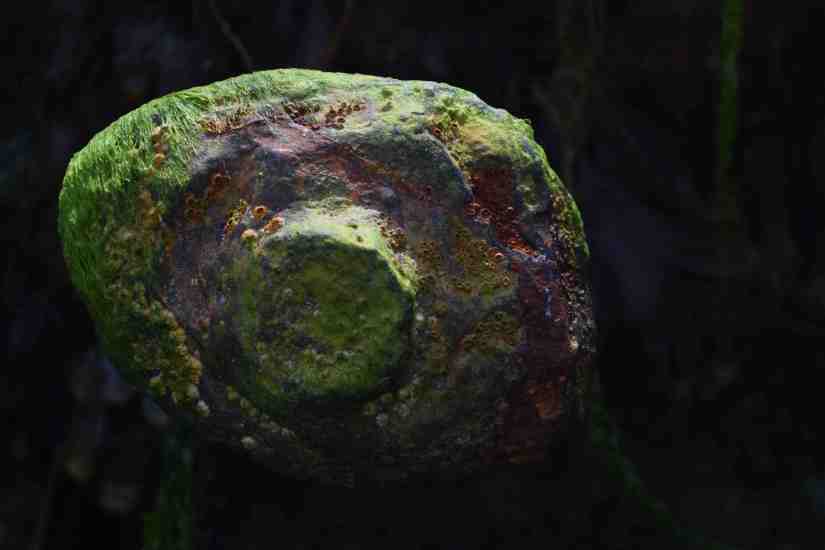 BOLT III. Detail of the Fee des Ondes trawler wreck.