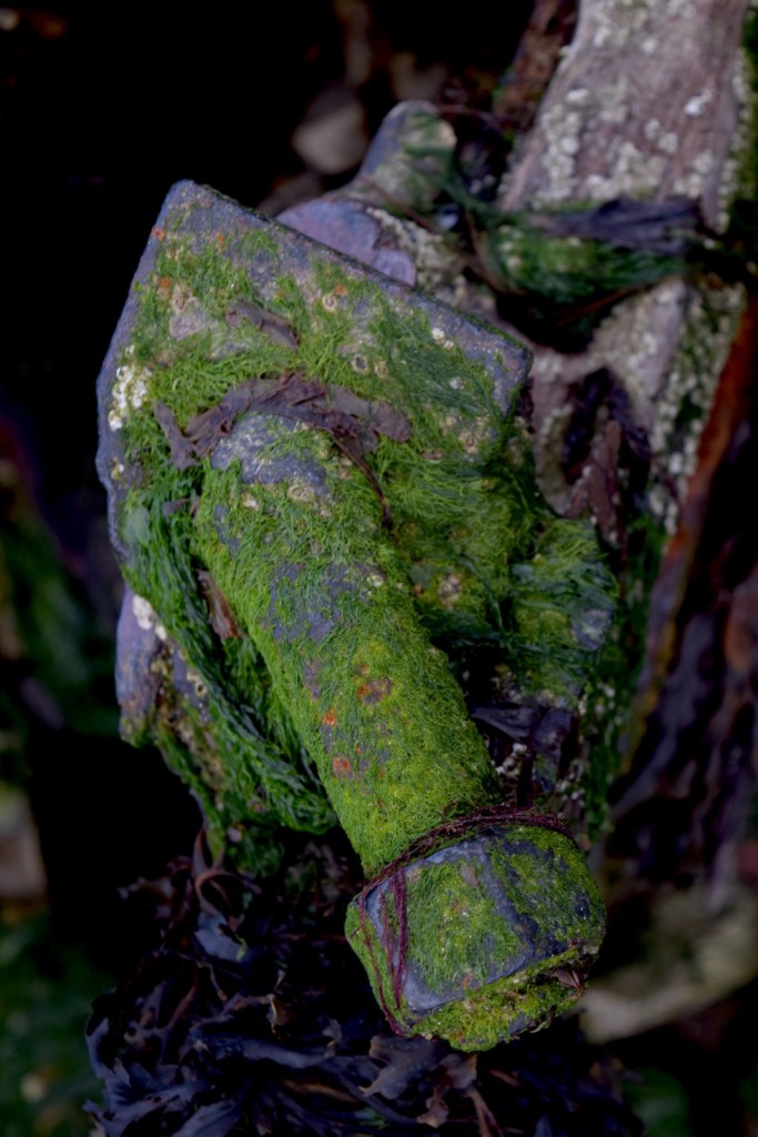 SHAFT, detail of the Fee des Ondes trawler remains.